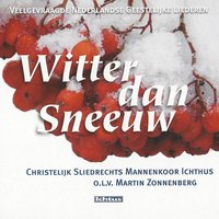 Bewaar mij, o God - Christelijk Sliedrechts Mannenkoor Ichthus & Martin Zonnenberg
