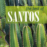 Camels - Santos