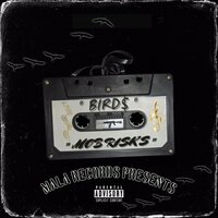 Backroom - Bird$