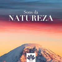 Paz profunda - Sons da Natureza & Relaxanna & Sons da Natureza & Relaxanna