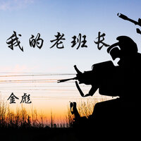 我的老班长 - 金彪