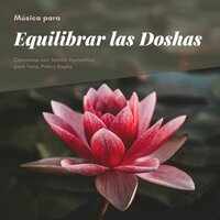 Felicidad Interior - Lucia Guiada