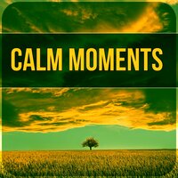 Meditation - Relaxing Evening Music Universe
