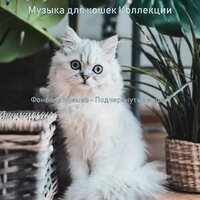 Звуки (Спящие кошки) - Музыка для кошек Коллекции