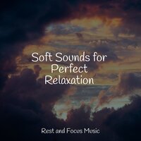 Chill-time Zealot - Classical New Age Piano Music & White Noise Relaxation & Bath Spa Relaxing Music Zone