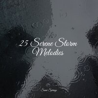 Woodlands, Birds, Wind, Flies - Calm Down & Asian Zen Spa Music Meditation & Rainfall For Sleep