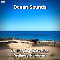 Ocean Sounds Part 35 - Ocean Sounds by Viviana Fernsby & Nature Sounds & Ocean Sounds