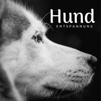 Musik für Seele und Herz - Dog Whisper