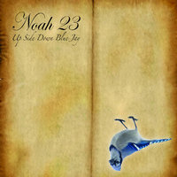Google Plex - Noah23