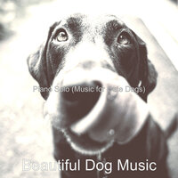 Smart Cute Dogs - Beautiful Dog Music