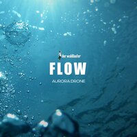 Flow - Der Waldläufer & AURORA.DRONE