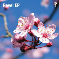 Another Night - Revel