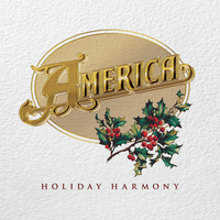 Christmas in California - America