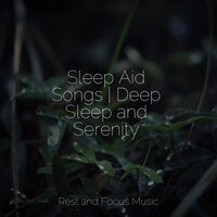 Boomfire - Soothing White Noise For Infant Sleeping And Massage & Pet Care Music Therapy & Calming Sounds