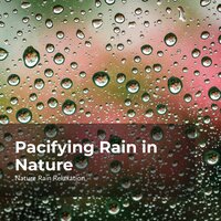 Soothing Paradise Rain - Rain Recorders & Rainfall & Nature Rain Relaxation