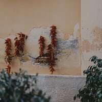 Ndrangheta - Sob