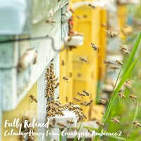 Calming Honey Farm Countryside Ambience, Pt. 17 - Steve Brassel