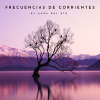 Cámaras De Ríos - Sonidos De Agua & Flor de Loto & Música Instrumental Maestro