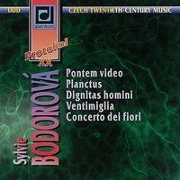 On the Divide, Op. 24: III. Lullaby - Daniel Wiesner & Karel Boleslav Jirak