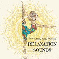 Sunday Morning Meditation Music - Yoga Devotion & Sun Salutations Yoga Music Academy & Sun Salutations Yoga Music Academy & Yoga Devotion