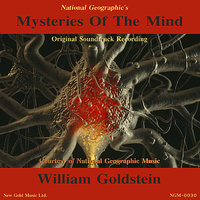 The Cerebellum - William Goldstein