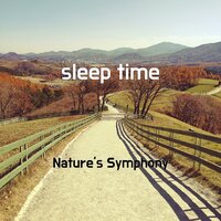 second sleep - Nature's Symphony