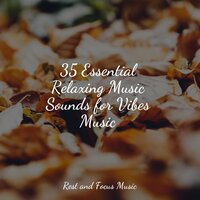 Dreamlands - Guided Meditation & Buddhist Meditation Music Set & White Noise for Babies