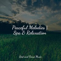 Deep Focus Meditation - Meditation Zen & Egyptian Meditation Temple & Sleep Songs 101