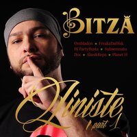 Procedee - Bitza