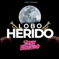 Lobo Herido - Tony Rosado