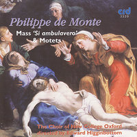 Domine, quid multiplicati sunt à 5 - Choir of New College Oxford