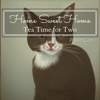 A Barista's Lunch - Piano Cats
