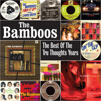 I Don't Wanna Stop - The Bamboos