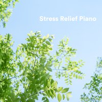 Calm - Tranquility Spree & Musique Relaxante et Détente & Stress Relief Helper