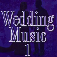 The Four Seasons, Spring - Concerto In E Major Op 8 N1, Excerpt 1 / Celebration By Vivaldi - Craig Riley