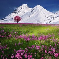 Warm Feelings - Massage Music