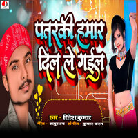 Pataraki Hamar Dil Le Gail - ritesh kumar