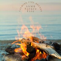 Calming Fire Sounds 19 - ASMR Nature Fire