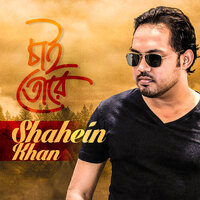 Cricket T20 - Shahin Khan
