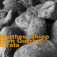 Strata 3 - Matthew Shipp Horn Quartet & Matthew Shipp & Daniel Carter & Roy Campbell & William Parker