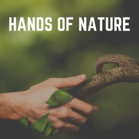 Morning Nature Sounds, Pt. 12 - Nature Ambience
