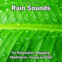 The Sound of Rain for Relaxation - Yoga & Rain Sounds & Regengeräusche