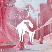 Harem - DiPap & Cafe De Anatolia