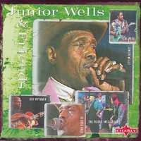 Got My Mojo Working - Live - Junior Wells
