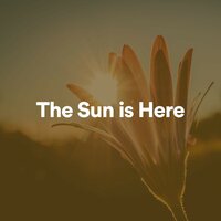 The Sun is Here, Pt. 18 - Relaxing Guru
