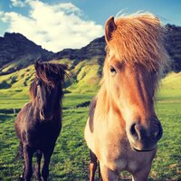 Beyond Fields of Green Grass - Reiki Tribe & Best Relaxing Spa Music & Pure Massage Music