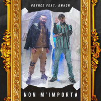 Non m'importa - Prynce & Awhon