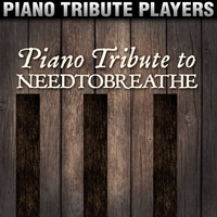 Lay 'Em Down - Piano Tribute Players