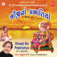 Shreeji Shreeji Naam Sambharu - Praful Dave