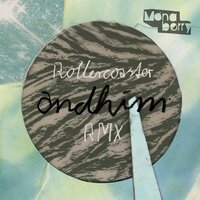 Rollercoaster - Andhim & Animal Trainer